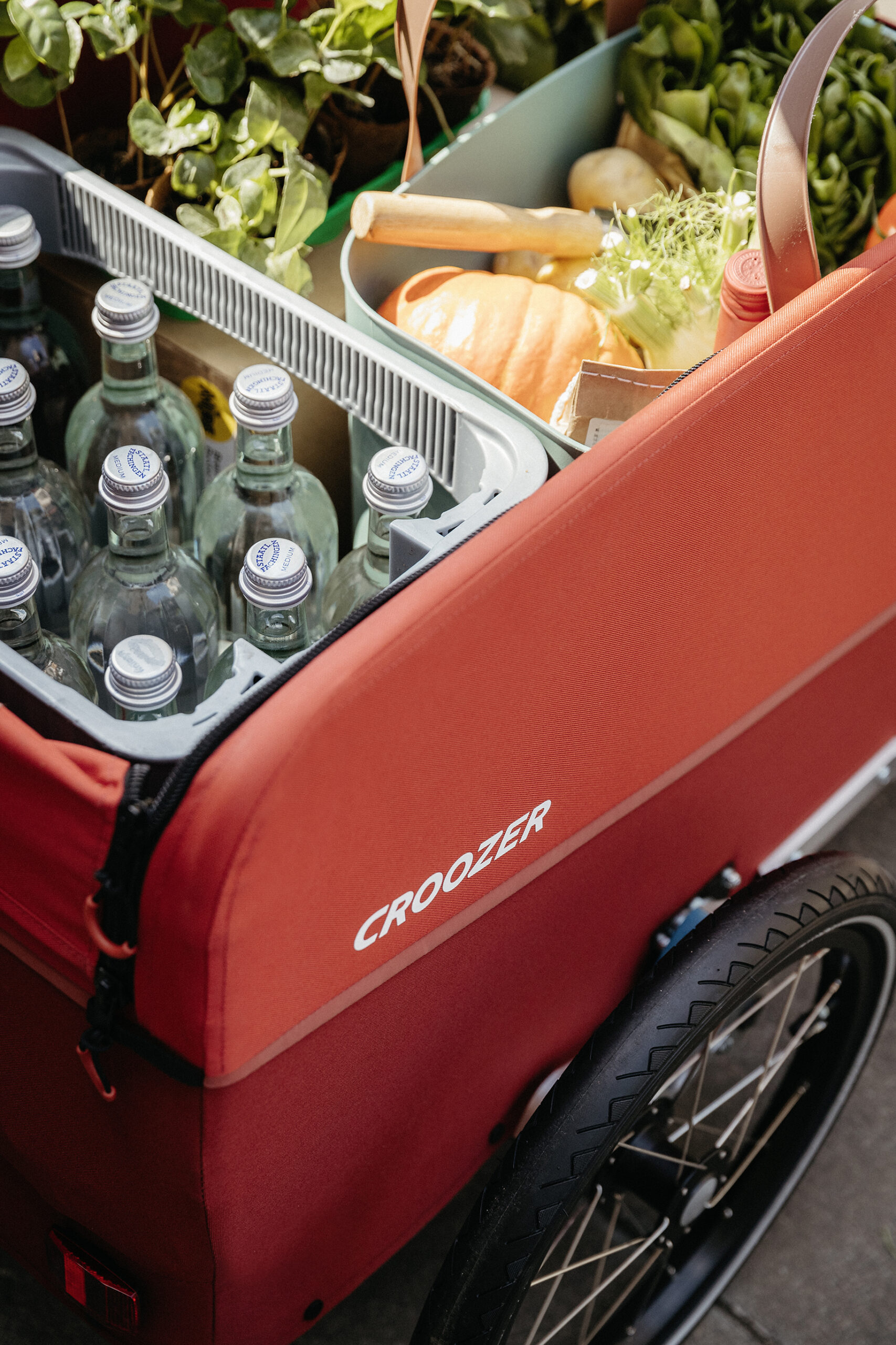 Croozer Cargo mit TailDrive Antrieb