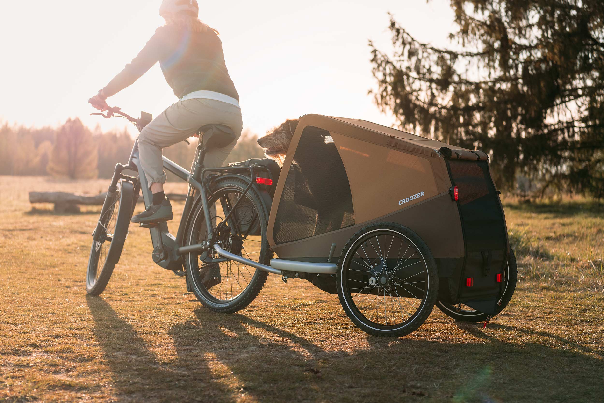 Croozer Hundeanhänger mit TailDrive Antrieb
